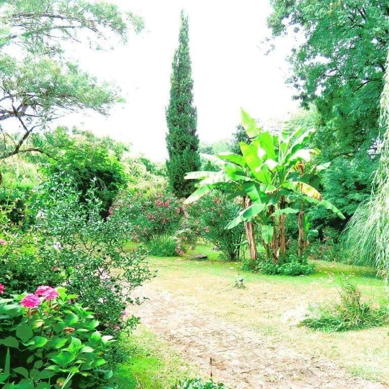 Gite Matilon, 5 Min Eugenie Les Bains Buanes Exteriör bild